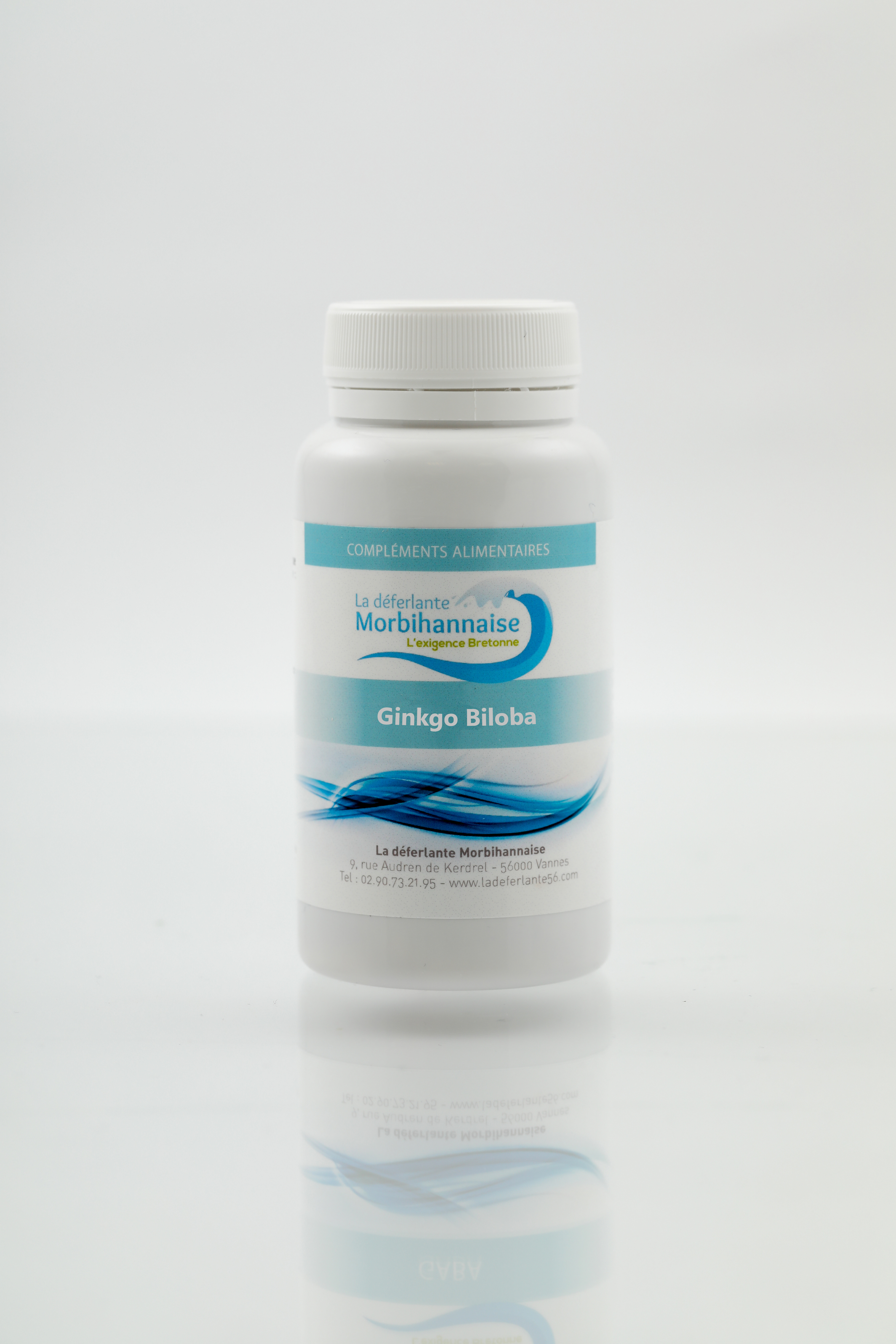 Ginkgo biloba - Vitalité