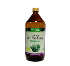 aloe vera